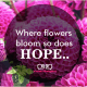 hope